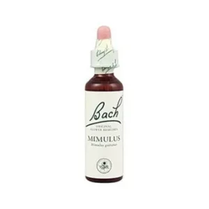 Bach 06 Cherry Plum 20ml